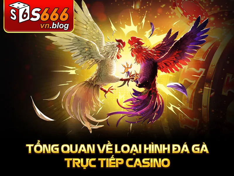 Đá Gà Trực Tiếp Casino S666: Thế Giới Giải Trí Đỉnh Cao 2 Tổng quan về loại hình đá gà trực tiếp casino