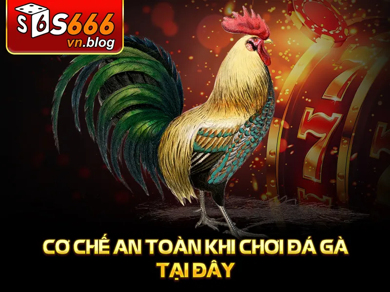 Đá Gà Trực Tiếp Casino S666: Thế Giới Giải Trí Đỉnh Cao 3 Cơ chế an toàn khi chơi đá gà tại đây