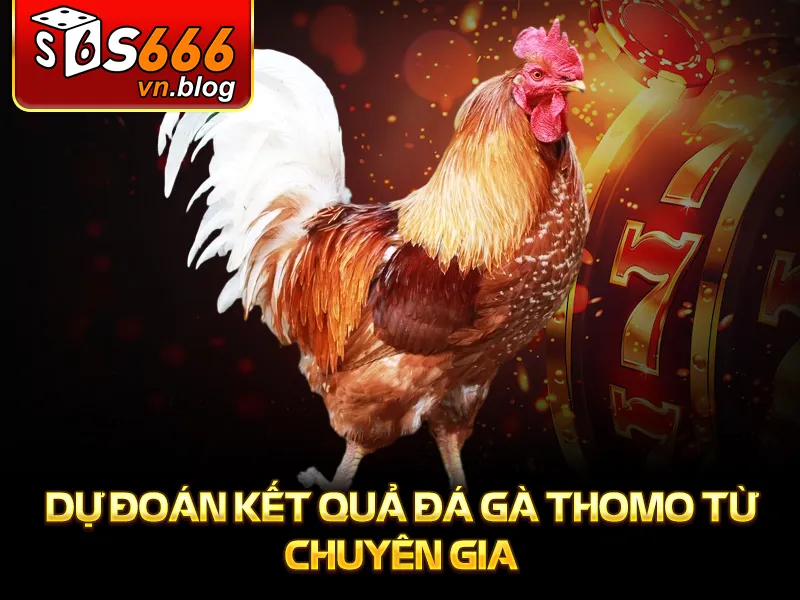 Trực Tiếp Đá Gà Thomo Tại S666: Thế Giới Giải Trí Đầy Kịch Tính 3 Dự đoán kết quả đá gà thomo từ chuyên gia