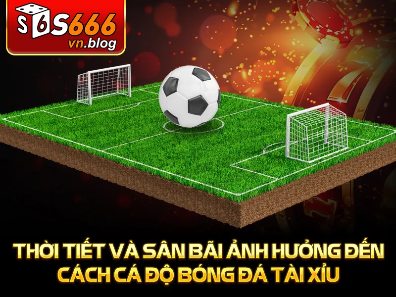 Cách Cá Độ Bóng Đá Tài Xỉu An Toàn Và Hiệu Quả Nhất - S666 3 Thời tiết và sân bãi ảnh hưởng đến cách cá độ bóng đá tài xỉu