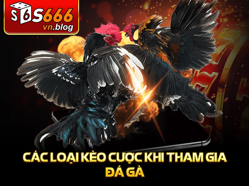Đá Gà Trực Tiếp Casino S666: Thế Giới Giải Trí Đỉnh Cao 4 Các loại kèo cược khi tham gia đá gà