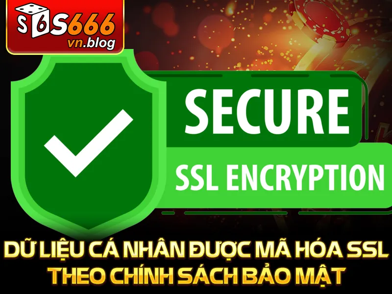 Chính Sách Bảo Mật - Quyền Lợi Và Sự Bảo Vệ Tuyệt Đối 3 Dữ liệu cá nhân được mã hóa SSL theo chính sách bảo mật