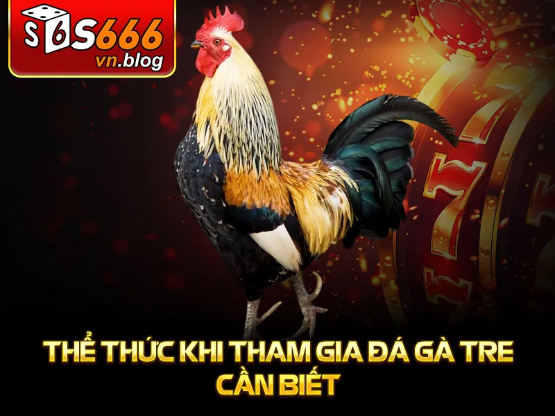 Đá Gà Tre Tại S666: Trận Đấu Đầy Kịch Tính Và Hấp Dẫn 4 Thể thức khi tham gia đá gà tre cần biết